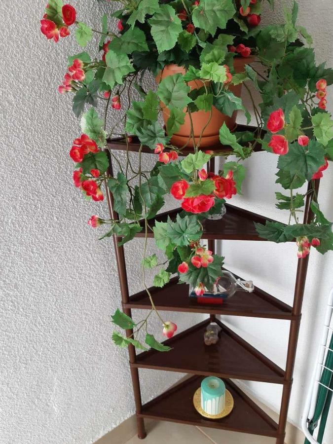 Apartment Duba Senj  Luaran gambar